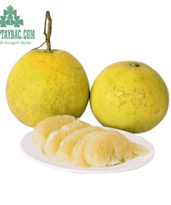 Bưởi Diễn Hòa Bình 02