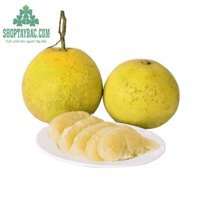 Bưởi Diễn Hòa Bình 02