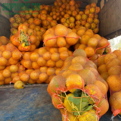 Bưởi Diễn Hòa Bình 03