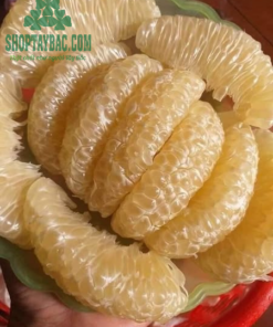 Bưởi Diễn Hòa Bình 04