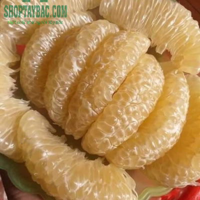 Bưởi Diễn Hòa Bình 04