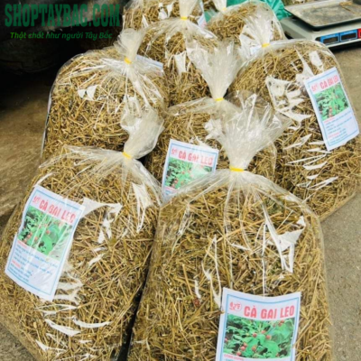 Cà gai leo đóng túi 1 kg ship toàn quốc