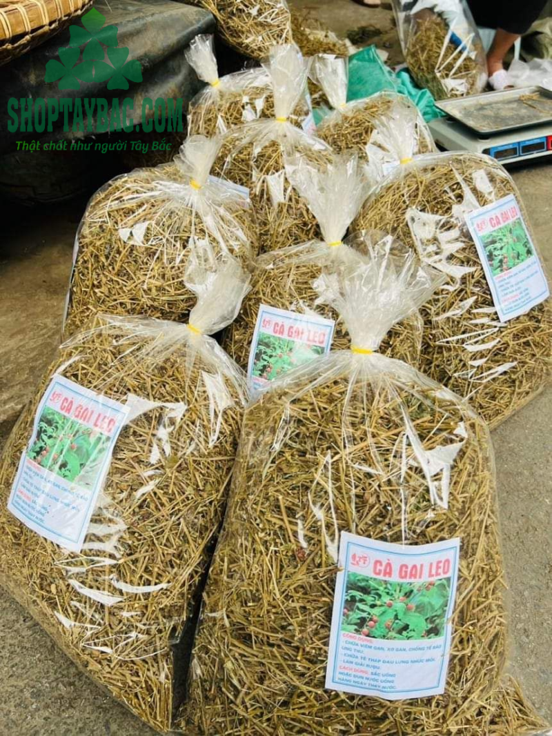 Cà gai leo (1 kg sấy khô)