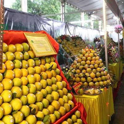 Cam Cao Phong tại hội chợ nông nghiệp