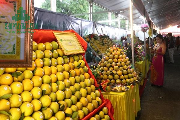 Cam Cao Phong tại hội chợ nông nghiệp