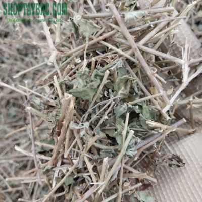 Dây cà gai leo phơi khô