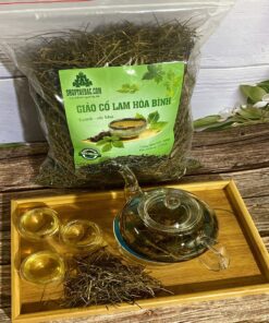 Giảo cổ lam 5 lá Hòa Bình