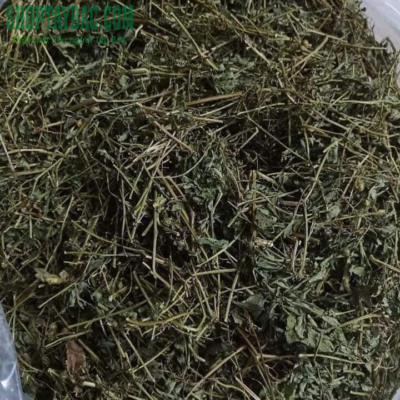 Giảo cổ lam 5 lá Hòa Bình sấy khô