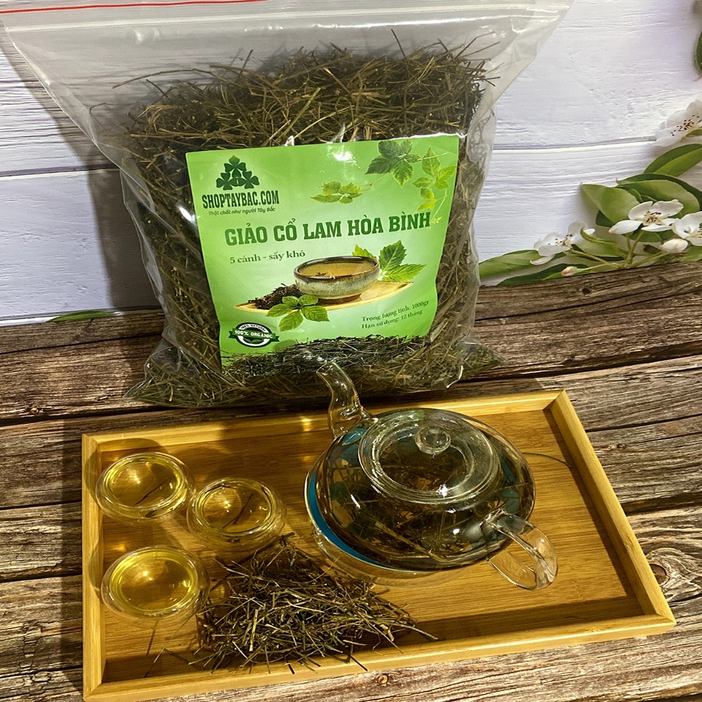 Giảo cổ lam 5 lá Hòa Bình