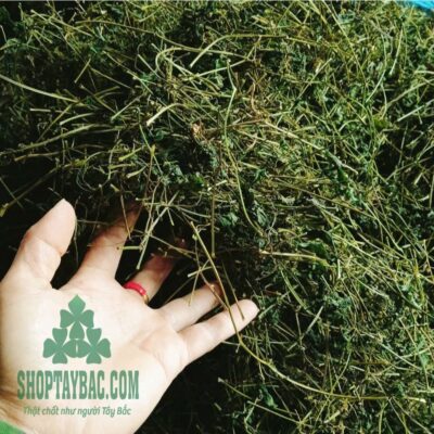 Giảo cổ lam (1 kg sấy khô)