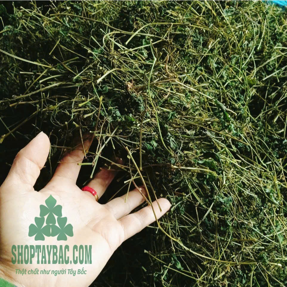 Giảo cổ lam khô loại 1