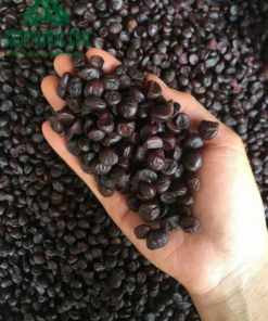 Hạt dổi nếp đặc trưng văn hóa ẩm thực Tây Bắc