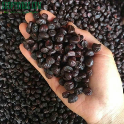 Hạt dổi nếp đặc trưng văn hóa ẩm thực Tây Bắc