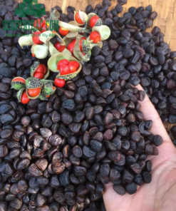Hạt dổi Tây Bắc (100gr sấy khô)