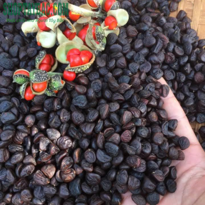 Hạt dổi Tây Bắc (100gr sấy khô)
