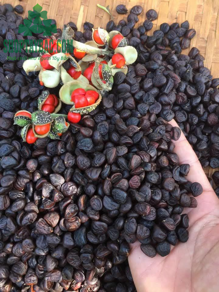 Hạt dổi nếp thơm ngon, gia vị ướp, chấm đặc trưng Tây Bắc