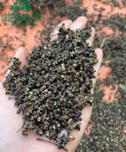 Hạt mắc khén phơi khô thủ công