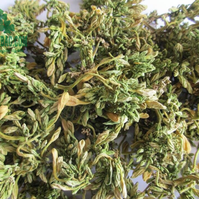 Hoa đu đủ đực khô