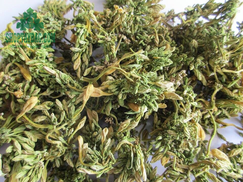 Hoa đu đủ đực (1 kg sấy khô)