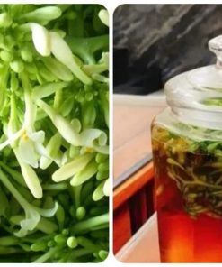 Hoa đu đủ đực ngâm mật ong 2