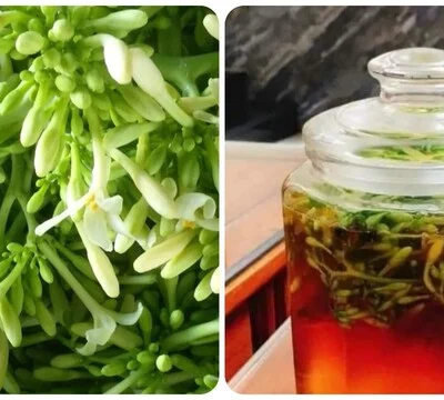 Hoa đu đủ đực ngâm mật ong 2