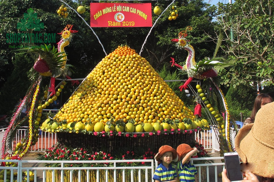 Lễ hội cam Cao Phong tổ chức hàng năm