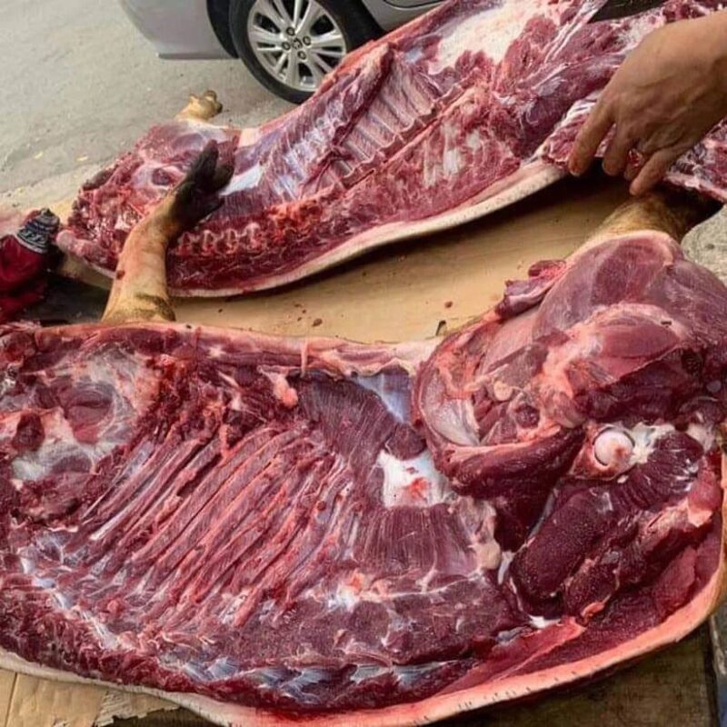 Lợn đen nuôi thả đặc sản Tây Bắc