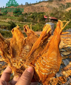 Măng nứa Tây Bắc khô 1 kg