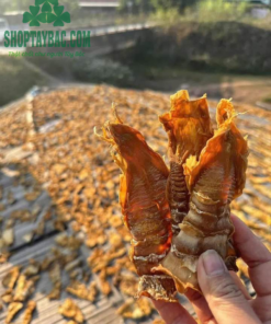 Măng nứa khô mang hương vị thơm ngon đặc trưng