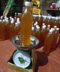Mật ong nhãn đóng gói cho khách