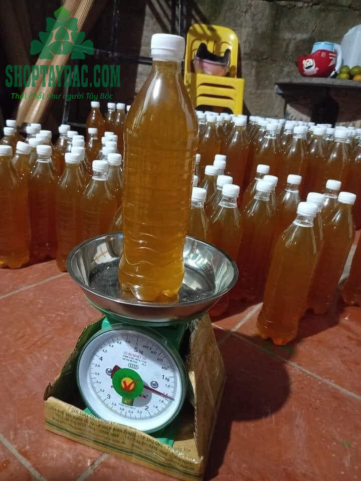 Mật ong nhãn đóng gói cho khách
