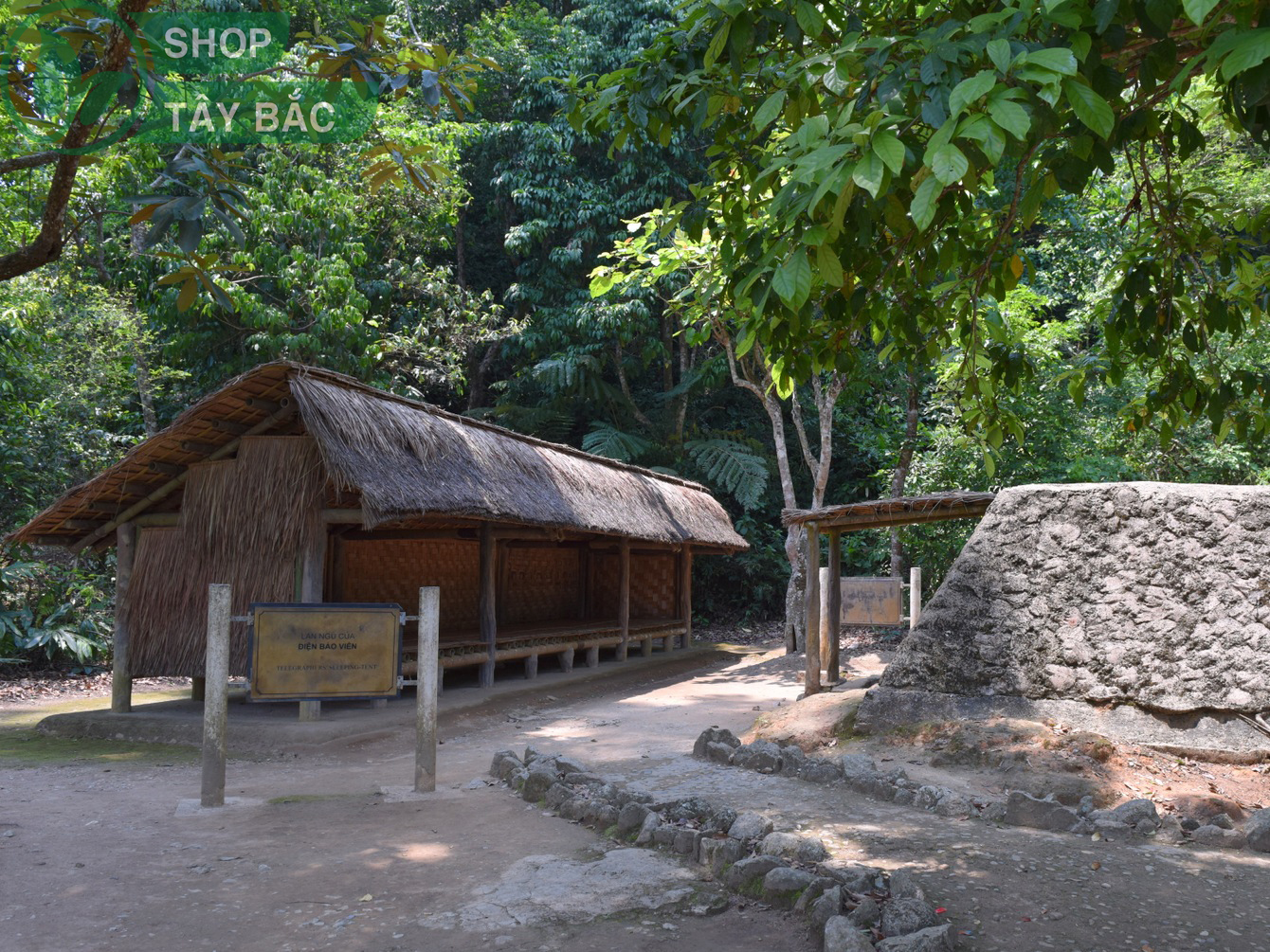Rừng Mường Phăng - Điện Biên