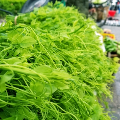 Rau bò khai đúng vụ thơm ngon