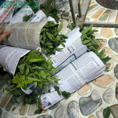 Rau ngót đồi ship tỉnh xa