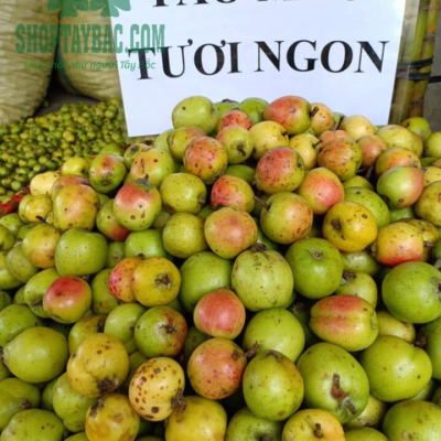 Táo mèo tươi ngon