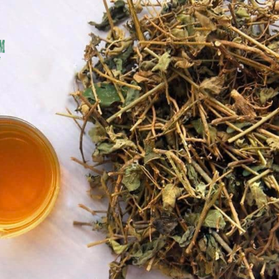 Trà cà gai leo hỗ trợ chức năng gan