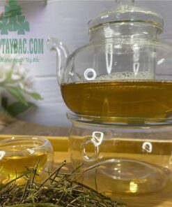 Trà giảo cổ lam Hòa Bình