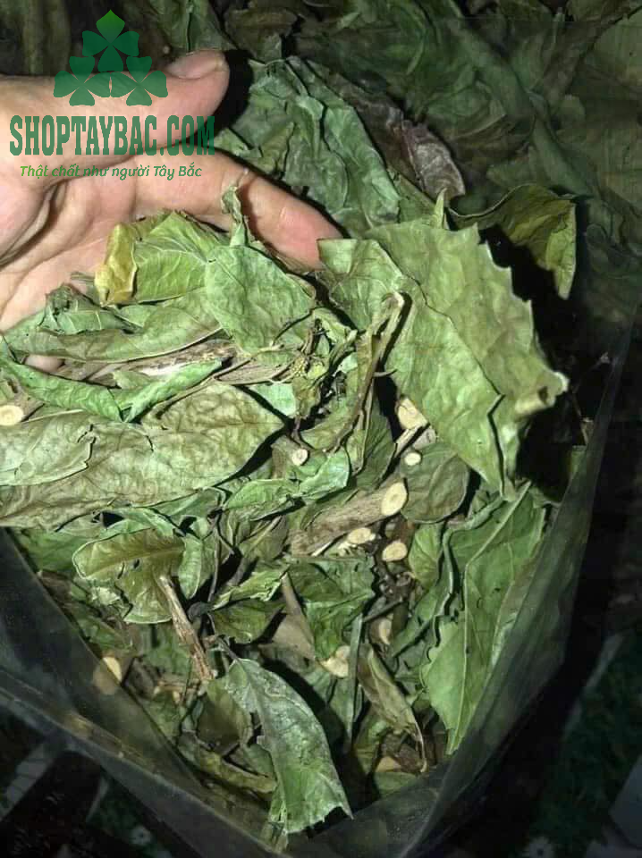 Xạ đen sấy khô tự nhiên