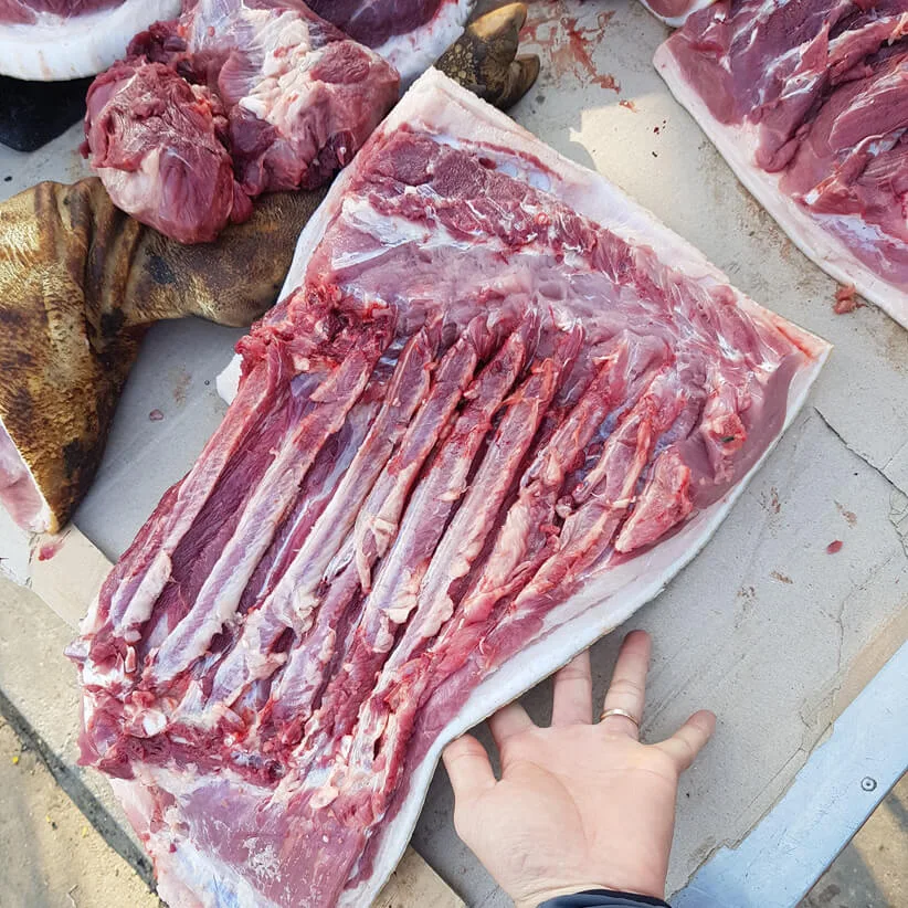 Lợn đen nuôi thả