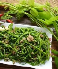 Rau bò khai Tây Bắc