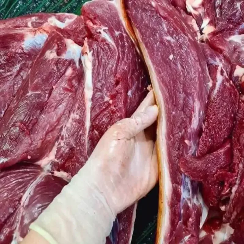Thịt nai Tây Bắc nuôi thả tự nhiên