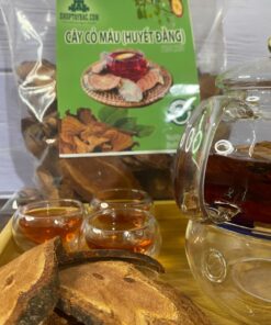 Cây cỏ máu (huyết đằng) khô túi 1kg