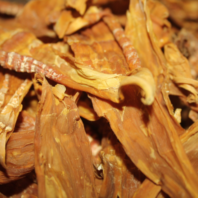 Măng mầm Tây Bắc