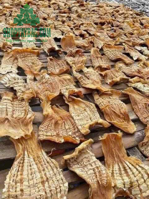Măng mầm Tây Bắc được bà con thu hái, phơi thủ công