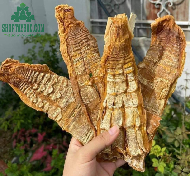 Măng mầm Tây Bắc khô 1 kg