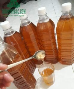 Mật ong rừng Hòa Bình