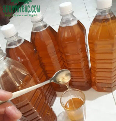 Mật ong rừng Hòa Bình