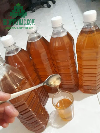 Mật ong rừng Hòa Bình