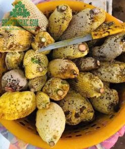 Mật ong rừng khai thác nguyên tổ