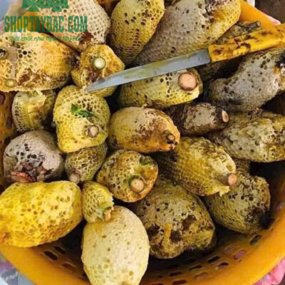 Mật ong rừng khai thác nguyên tổ